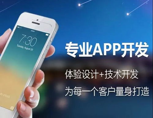 江苏软件定制诚信企业推荐 助力企业数字化转型的可靠伙伴