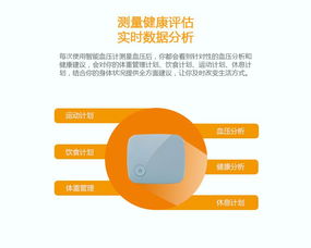 智能便携式血压计开发与信息软件开发综述
