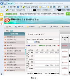 请问 信息管理系统 一般是用什么语言,什么软件工具开发的呢